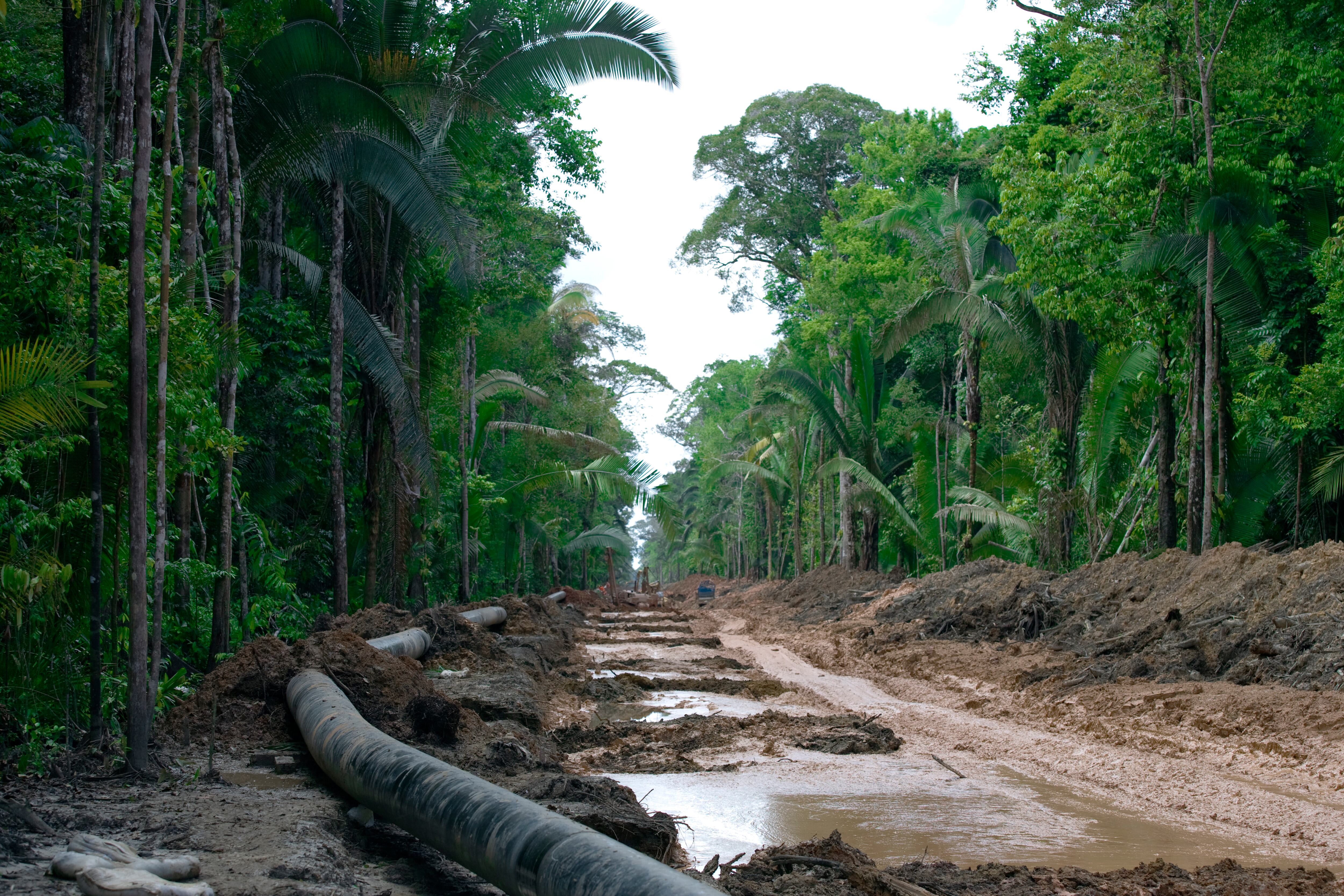 La Amazonia brasileña