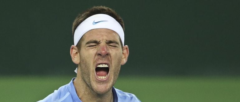 Del Potro grita de rabia tras ganar a Marin Cilic en el cuarto punto