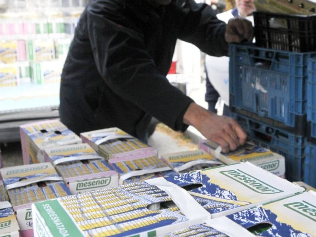 "Estamos ante el inicio de la decadencia de los bancos de alimentos"