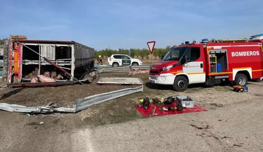 Vuelca un camión que transportaba cerdos cuando circulaba por la N-232 en Teruel.