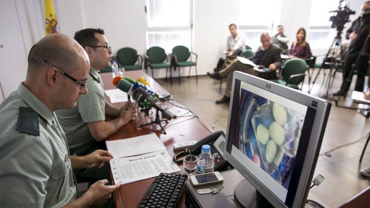 Mesa de España: Retienen un juego con huevos de una especie invasora