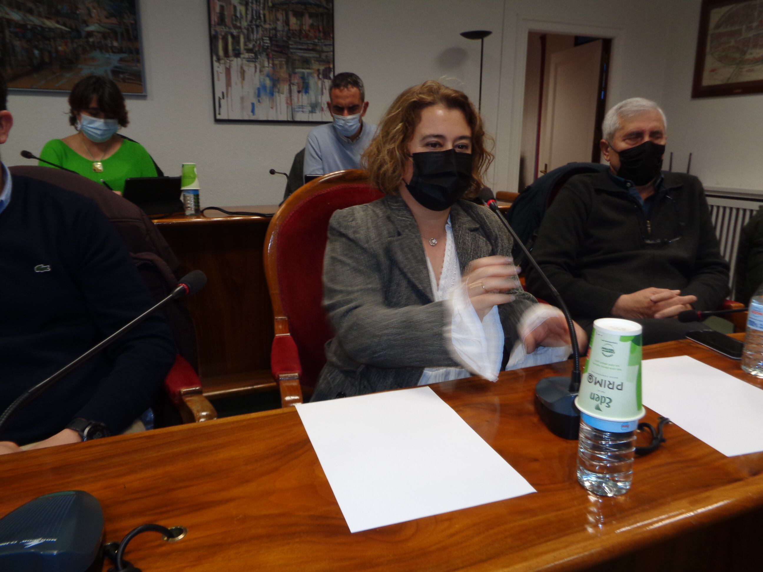 La sesión plenaria comenzó con la jura de su cargo de la nueva concejal popular, Teresa Bermejo