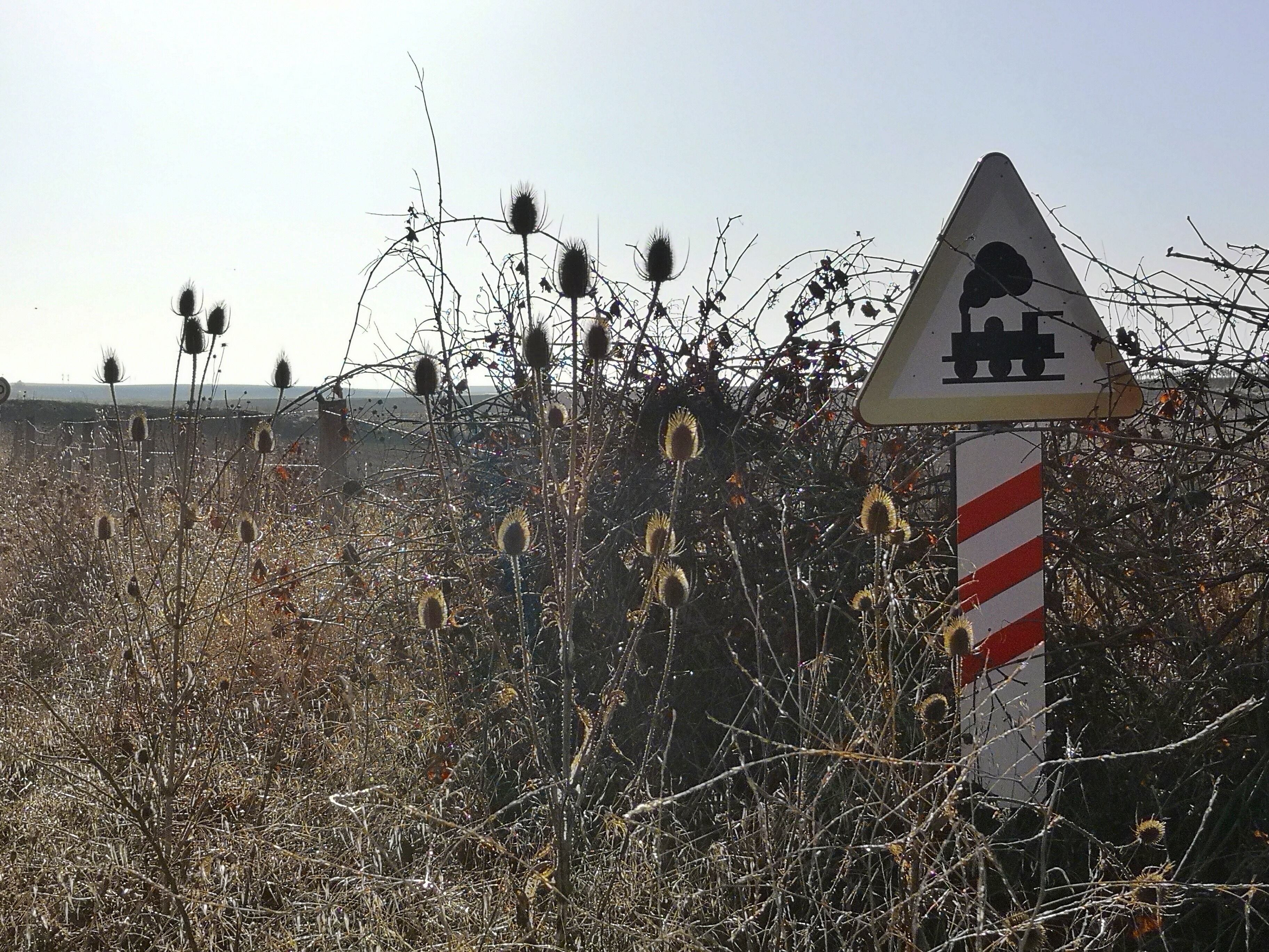 Renfe anuncia que desde el 20 de julio prestará en autobús, no en tren, el trayecto entre Aranjuez y Cuenca.