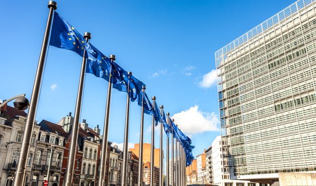 Banderas de la Unión Europea frente al Parlamento. (Bruselas-Bélgica)