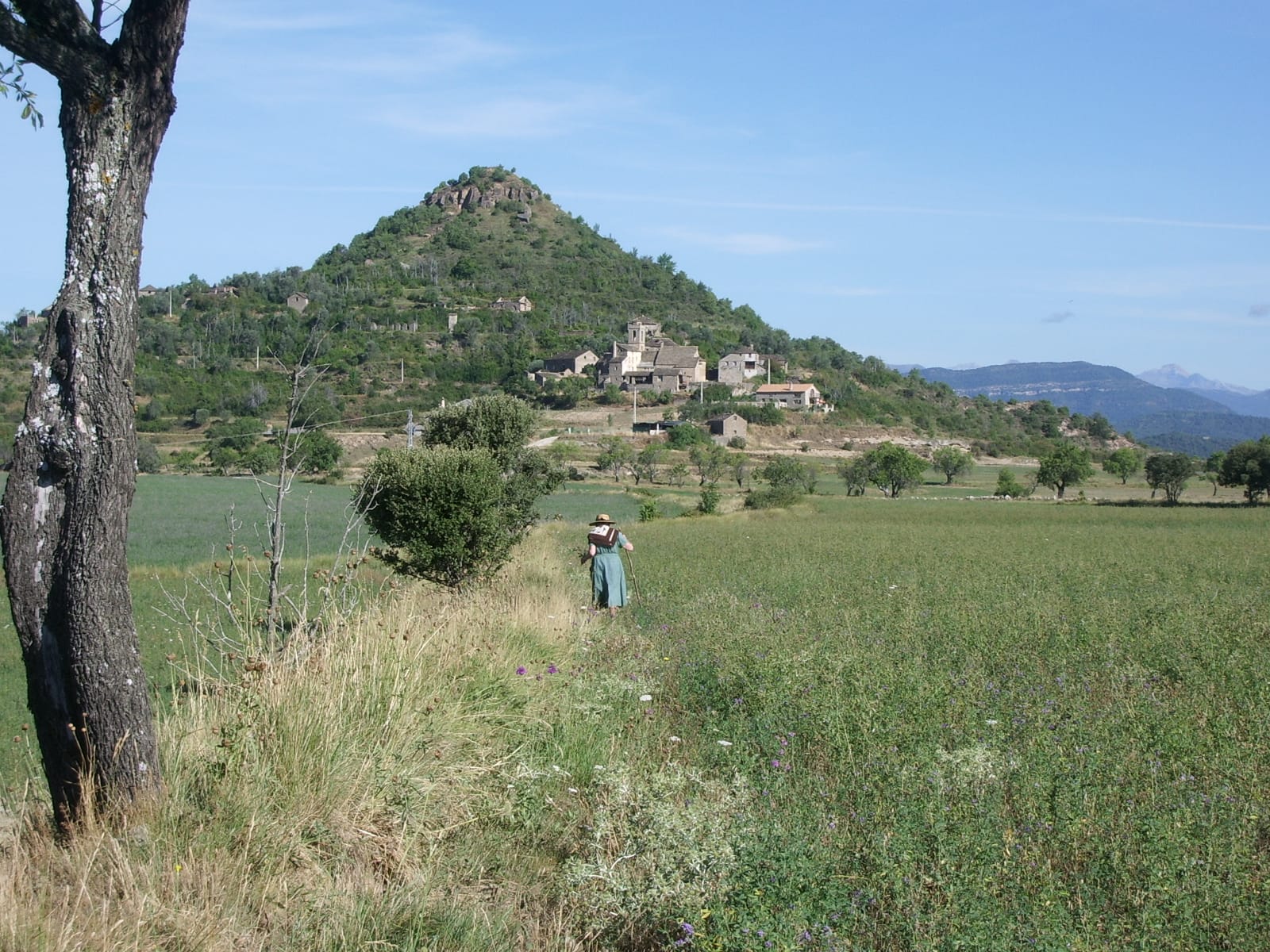 Panorámica del municipio de Santa María de Buil.