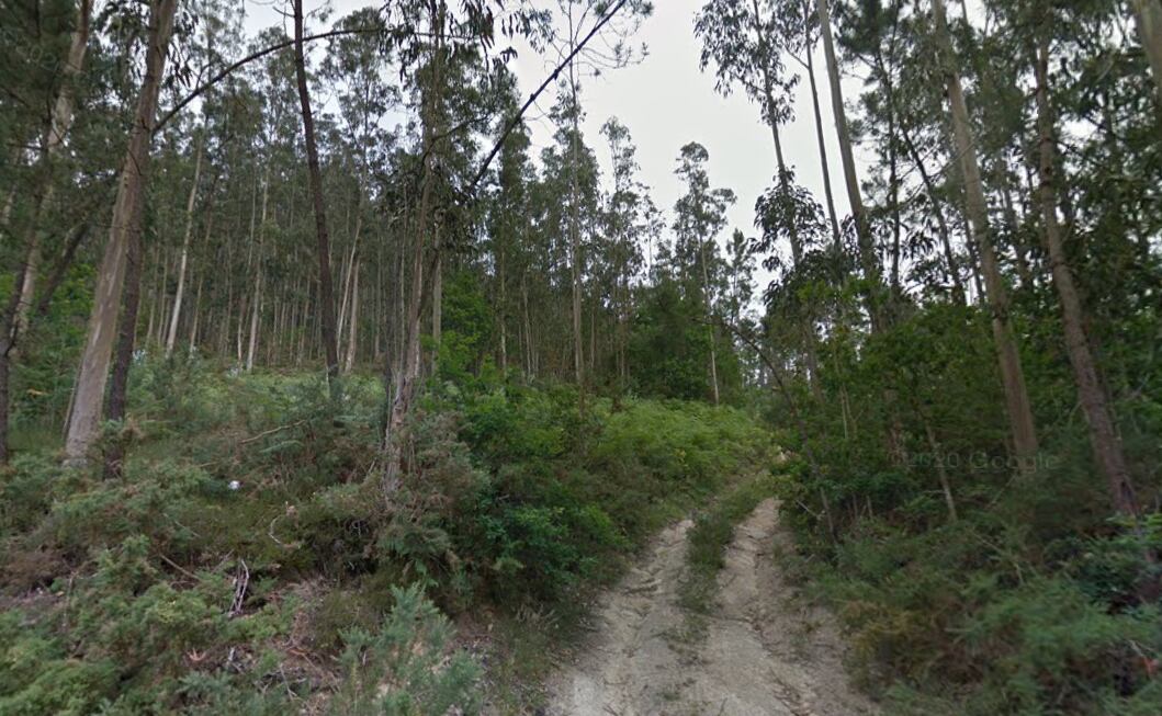El navegador condujo a la furgoneta por una pista forestal de la que no pudo salir.