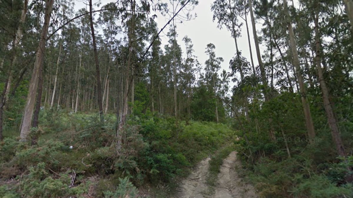 Una furgoneta arde por completo después de quedarse atrapada en el barro por culpa del navegador GPS