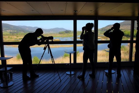 Instalaciones del Urdaibai Bird Center / URDAIBAI BIRD CENTER
