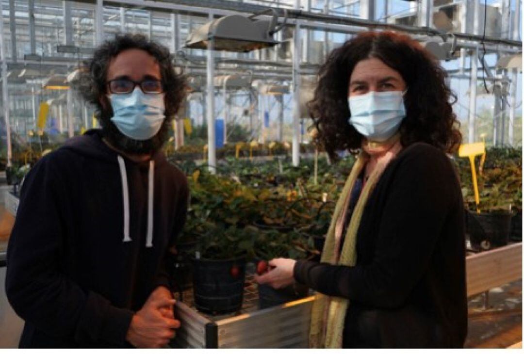 David Posé y Carmen Martín, dos de los investigadores principales del estudio