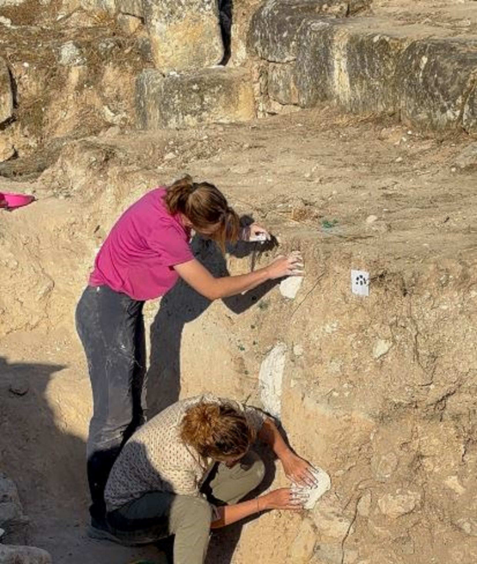 Excavación arqueológica en el Vallejo del Obispo, en Cañaveruelas (Cuenca).