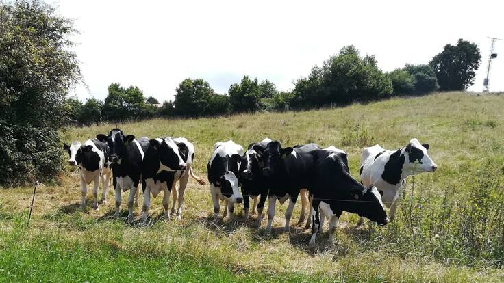 Felipe González, coordinador de Seobirdlife