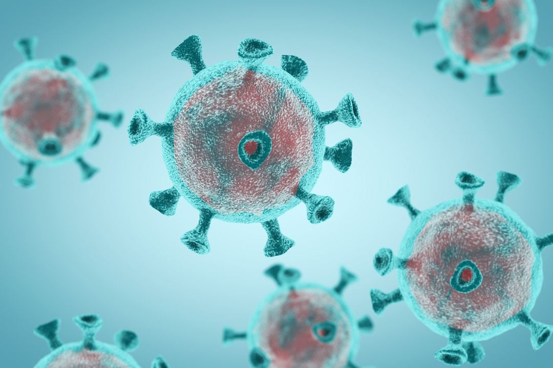 Vista microscòpica del coronavirus SARS-CoV-2, responsable de la pandèmia de la COVID