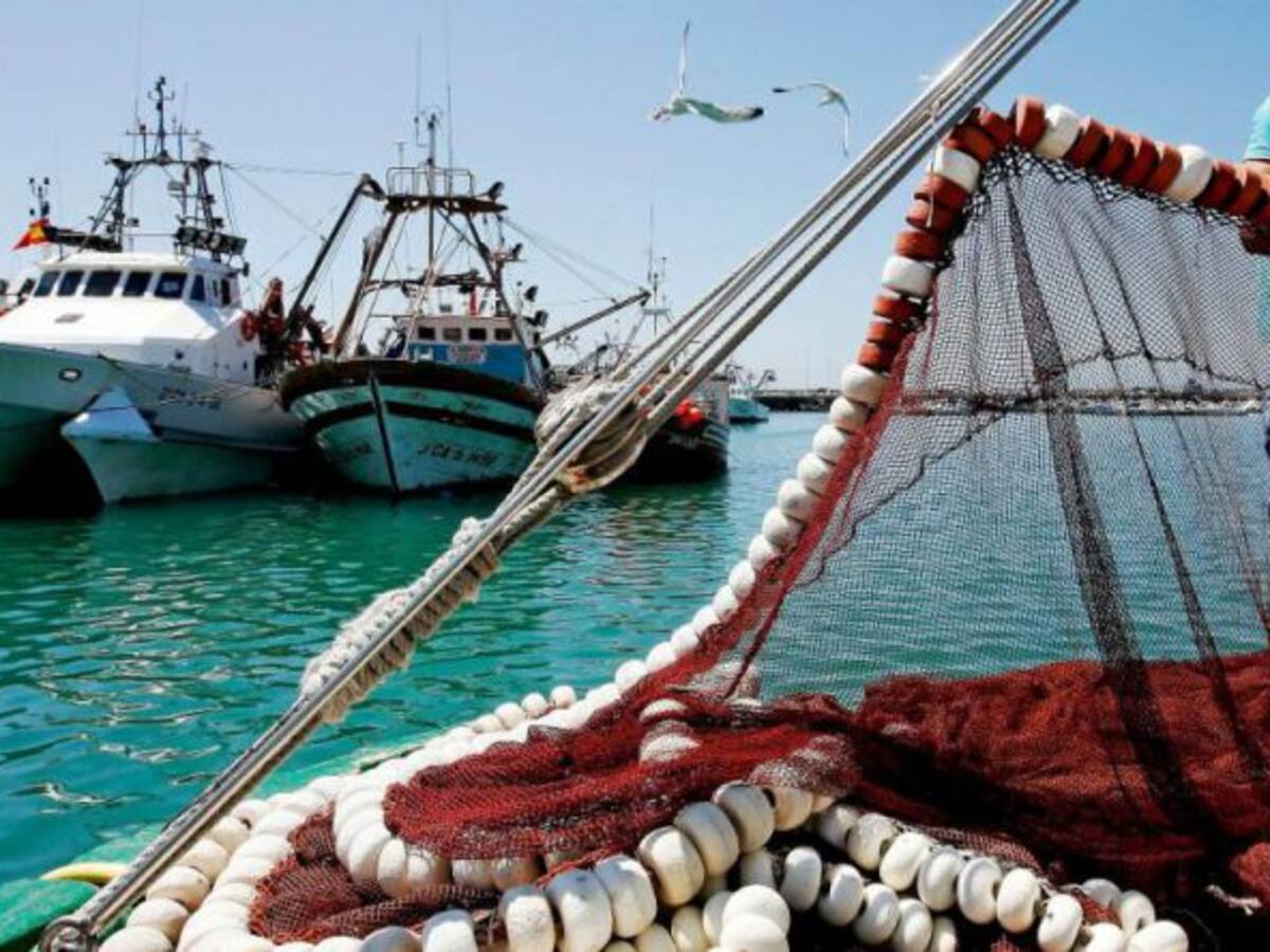 El Gobierno pone en jaque las capturas de pescado y marisco almerienses