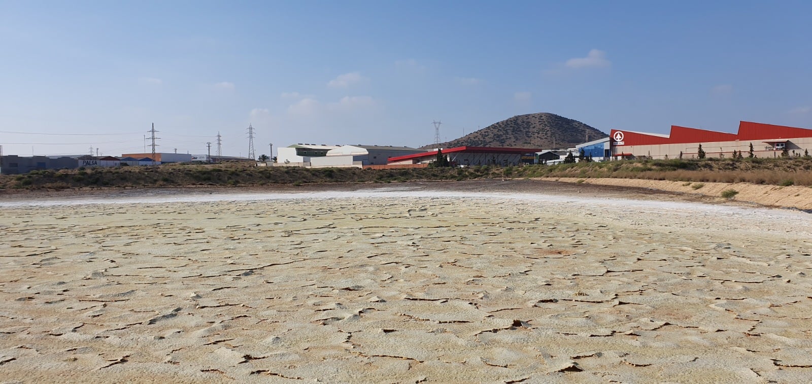José Matías Peña advierte de que el informe del Consejo de Seguridad Nuclear no soluciona la magnitud de la crisis química en Torreciega