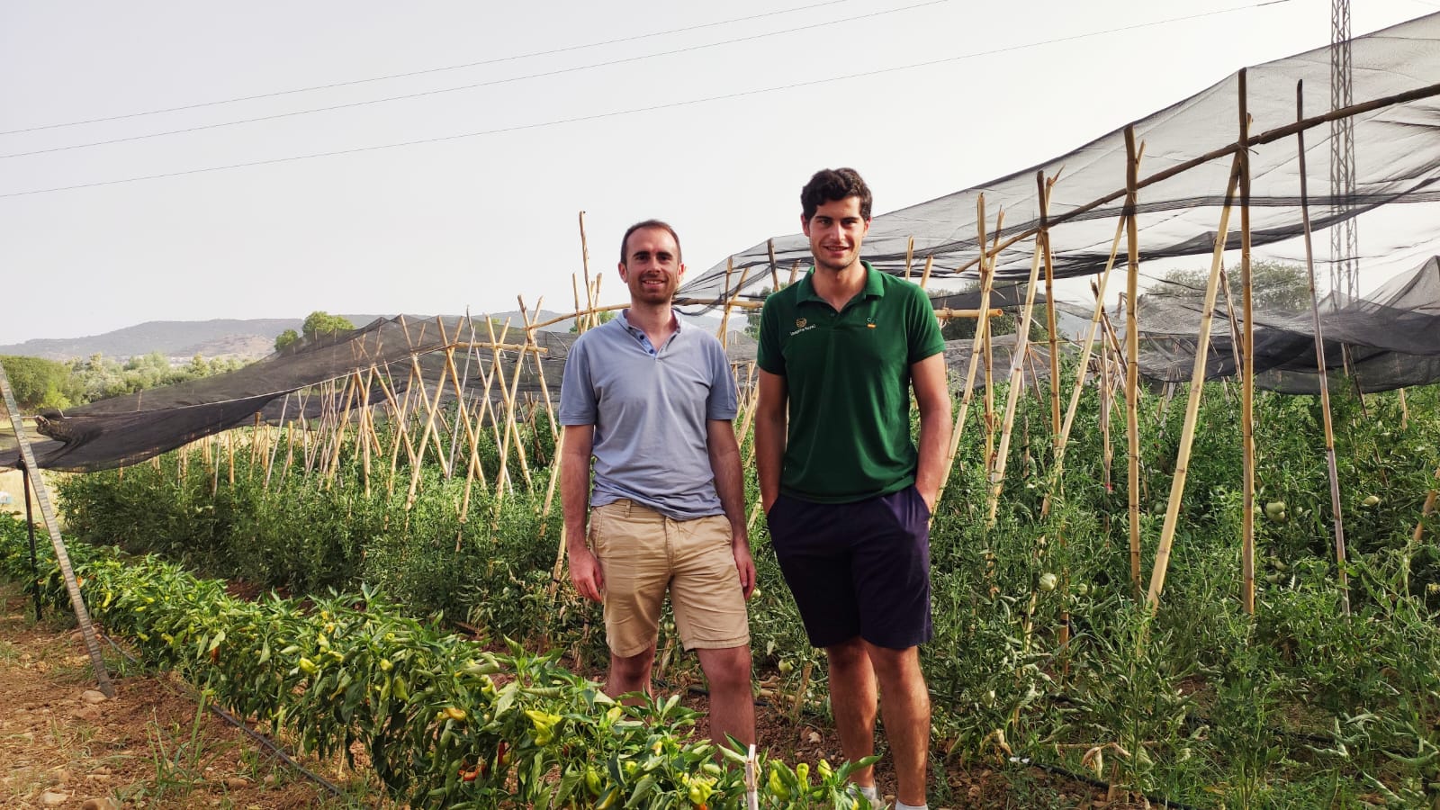 Antonio Manuel Conde y José David Díaz de &quot;Inspira Rural&quot; en la huerta donde cultivan el tomate rosa de Alcolea en Córdoba