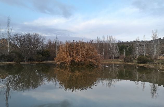 Laguna artificial en el paraje de Donace.