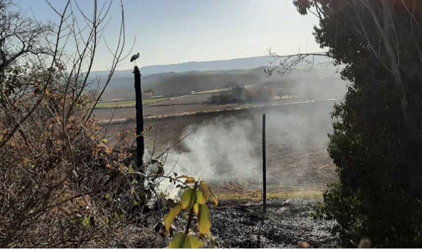 Incendio del nido de cigüeña/Foto DALMA