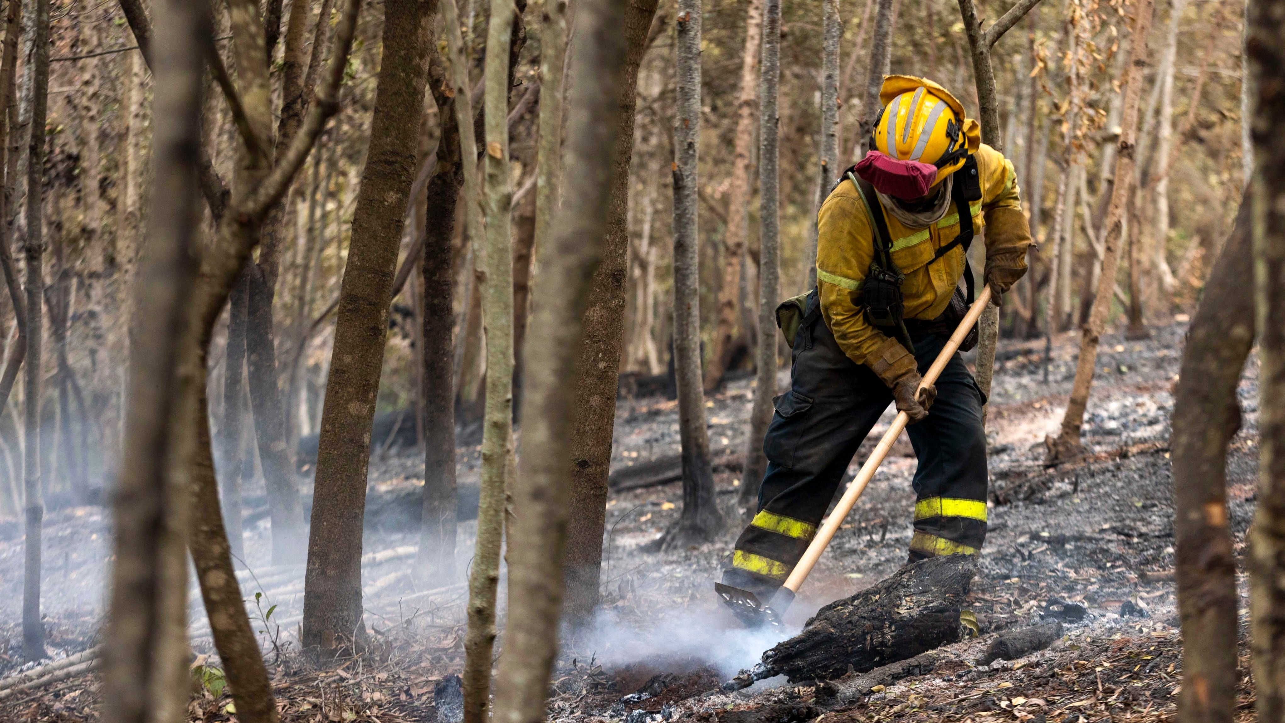 EL ROSARIO (TENERIFE), 25/08/2023.- Miembros del Operativo de Prevención y Extinción de Incendios del Cabildo del Hierro (BRIFOR) colaboran en las labores de enfriamiento de las zonas afectadas por el incendio en Tenerife, este viernes en la zona de La Hornaca en el municipio del Rosario. EFE/ Miguel Barreto
