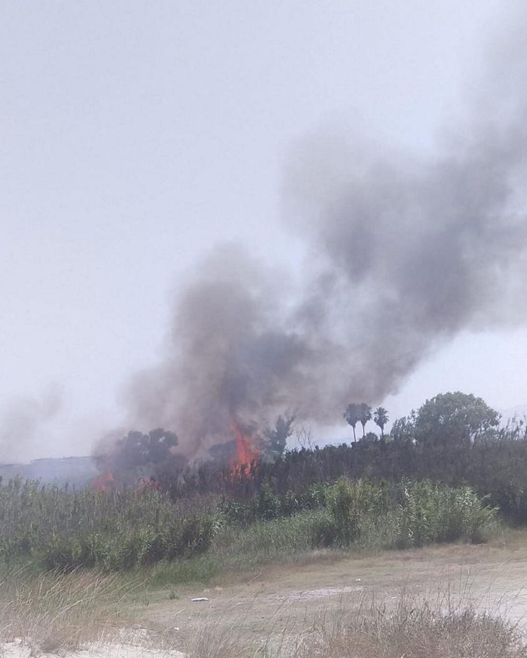 Incendio en els Marenys de Rafalcaid 