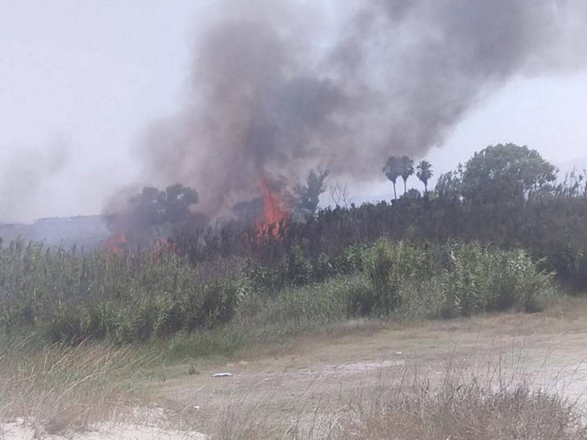 Incendio en una zona de cañas en els Marenys de Rafalcaid de Gandia