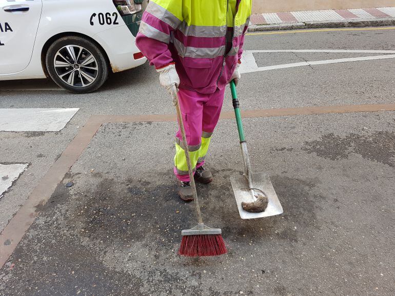 Retiran una rata muerta en la calle Wenceslao Argumosa