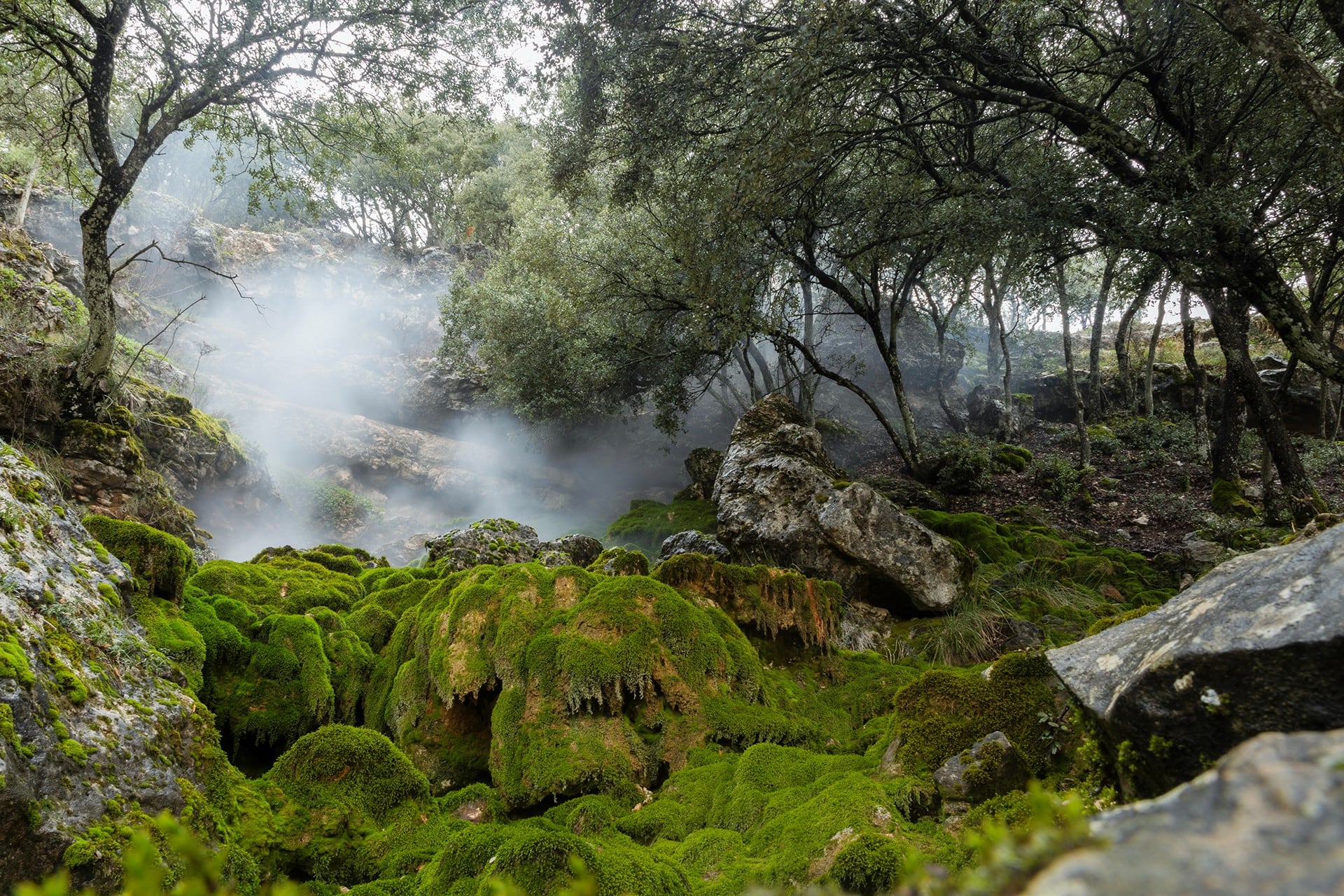 06_Accesit_Paisaje_Agustin_Barreda