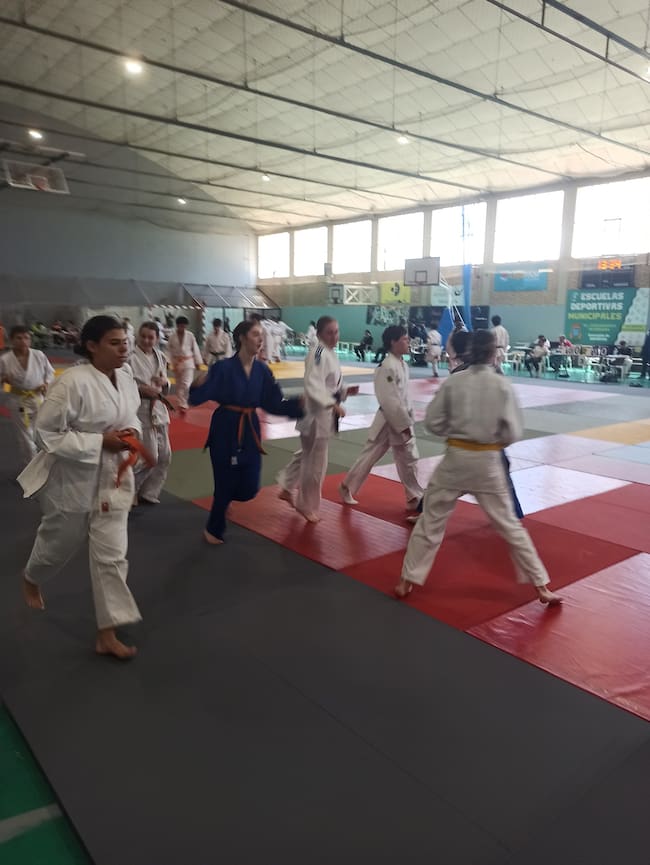 El Judocamv en Requena