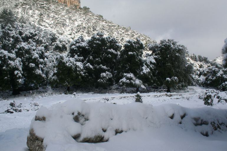 Nieve en la Sierra de Tramuntana