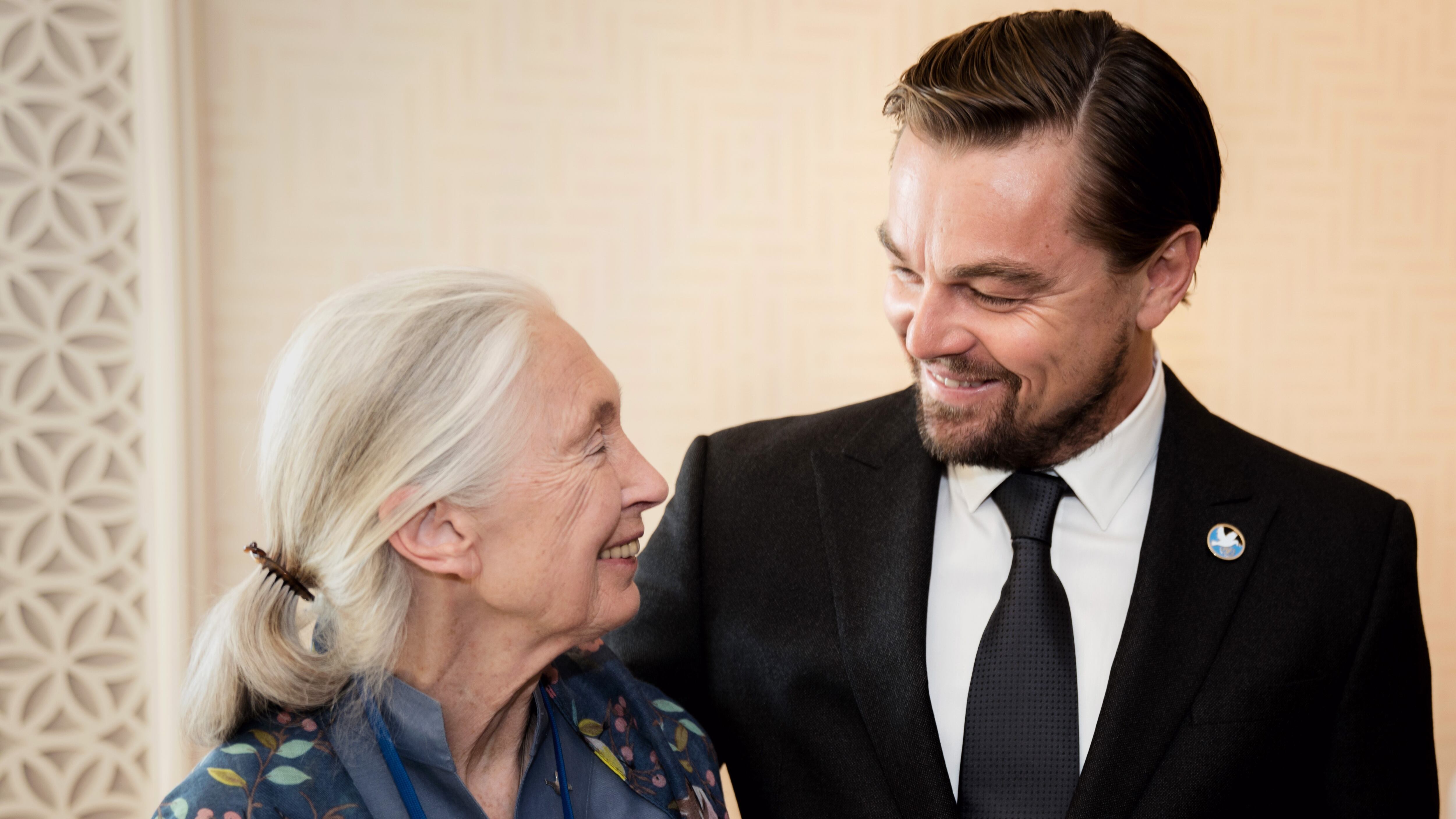 La primatóloga y activista Jane Goodall junto al actor Leonardo Di Caprio, en un acto en 2014.