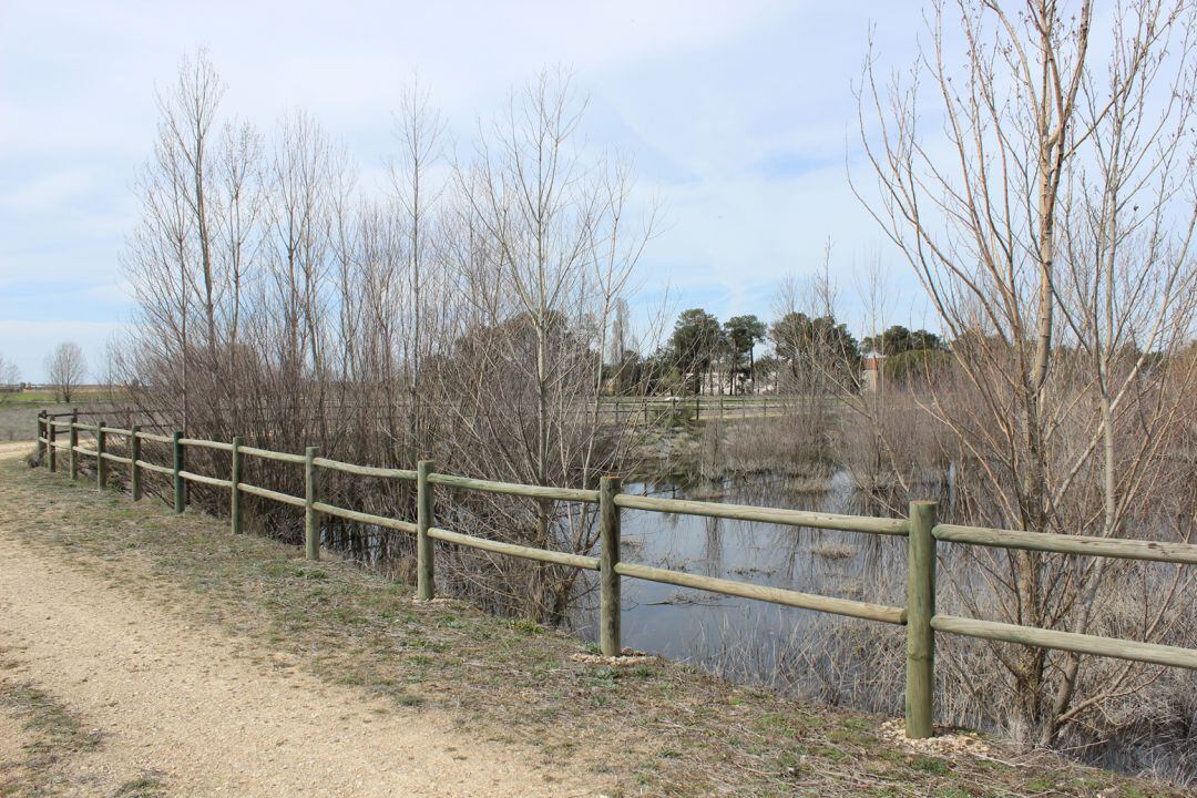 Recarga del acuífero de El Carracillo