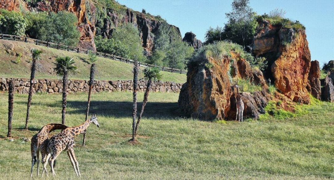 Parque de la Naturaleza de Cabarceno