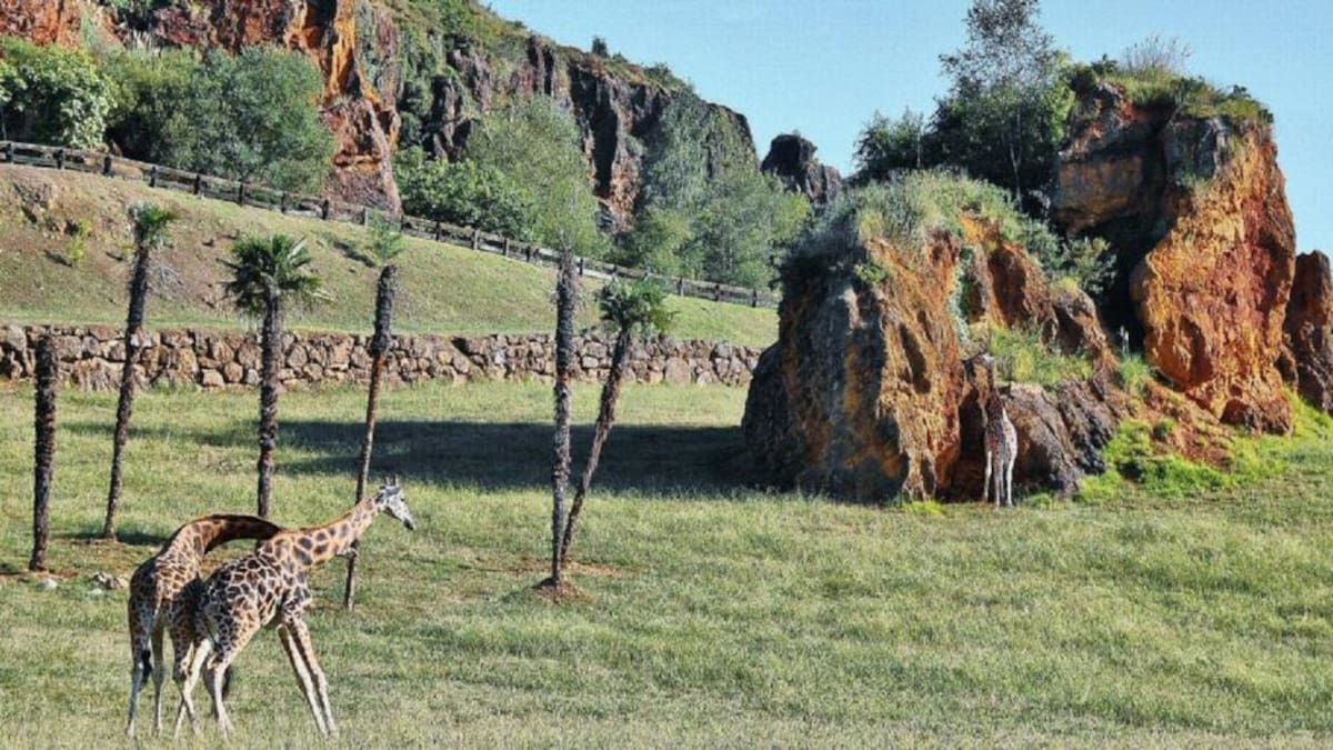 El tobogán del Parque de la Naturaleza de Cabárceno estará en funcionamiento en otoño de 2025