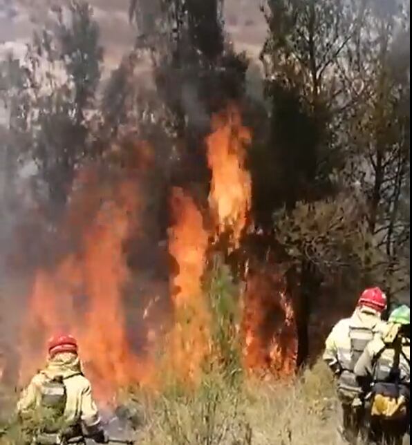 Medios adscritos al Plan Infomur acuden a Incendio forestal en Zarcilla de Ramos