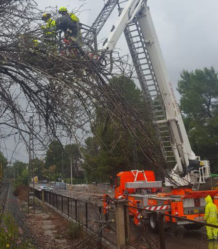 Los Bomberos del consorcio provincial de Valencia trabajan en retirar un árbol de las vías de la L2 de Metrovalencia.