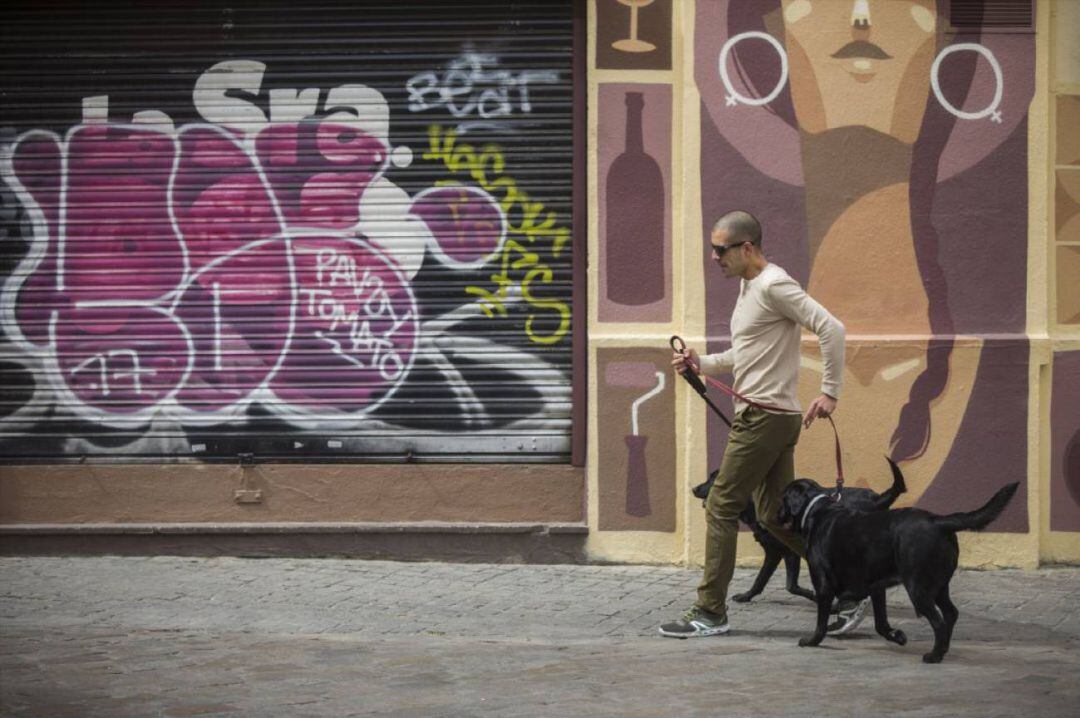 Hombre paseando a sus perros