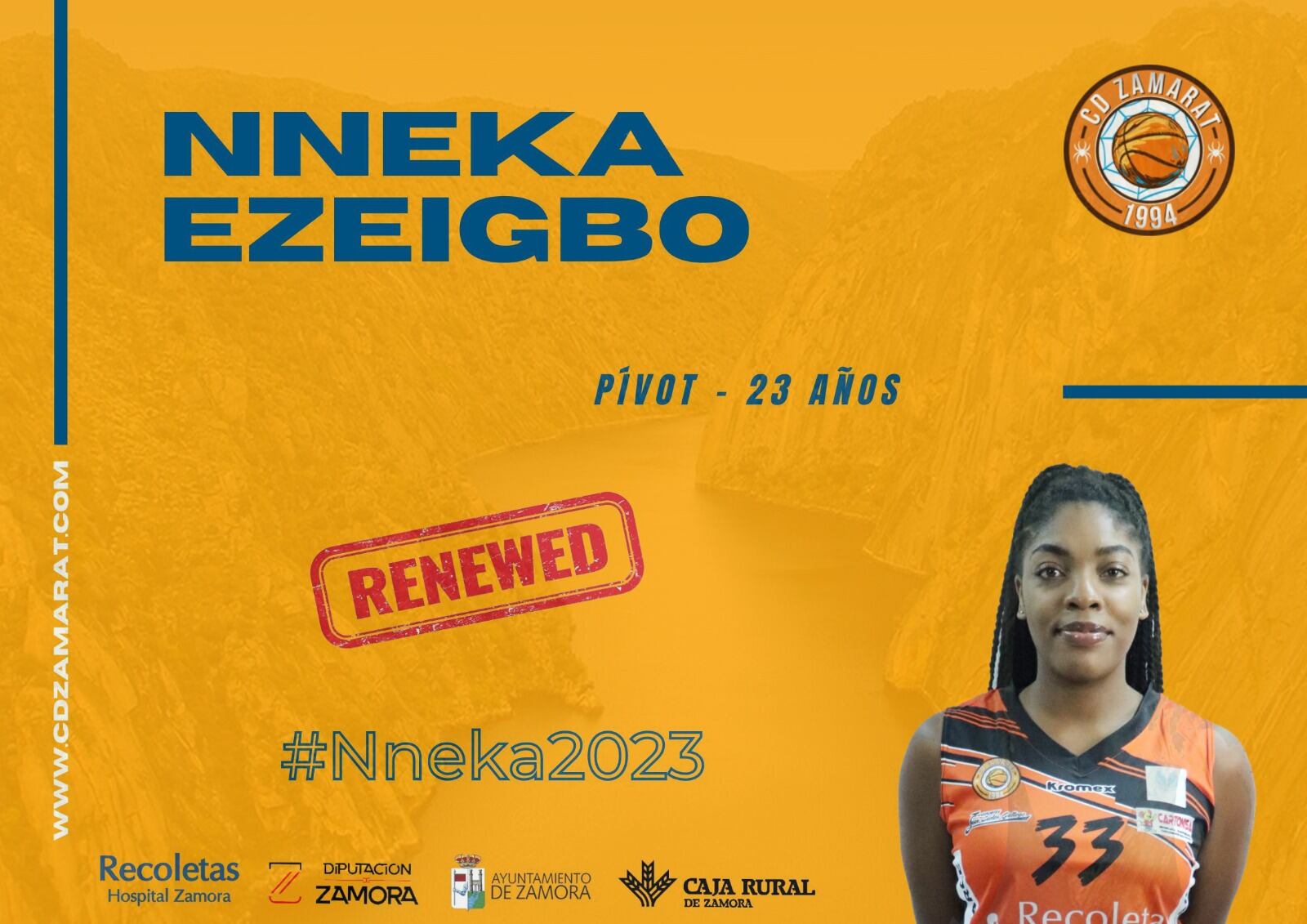 Nneka Ezeigbo