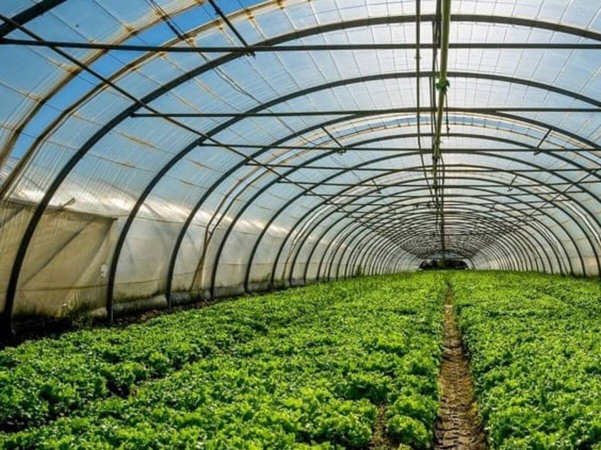 Productores de Almería ven "en peligro" el abastecimiento de frutas y hortalizas a Europa