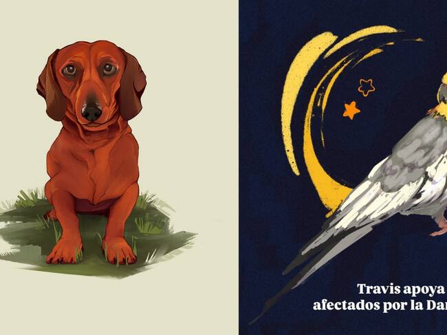 Dibujos de Aitana, llenos de sensibilidad y talento.