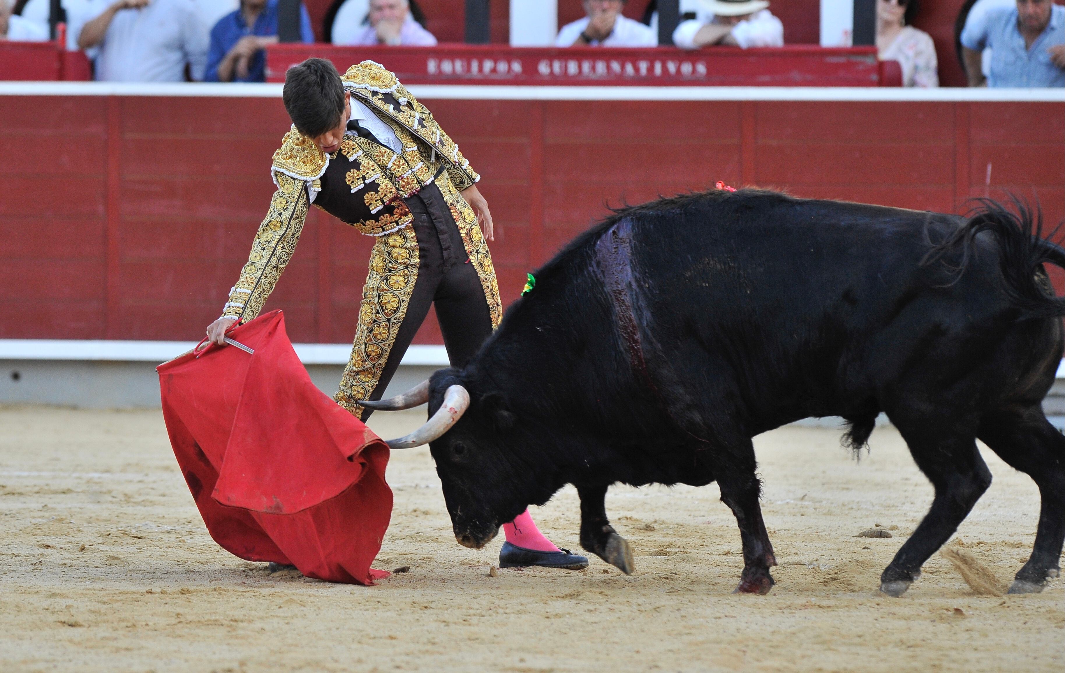 El novillero Manuel Caballero da un pase a un toro durante la tradicional corrida que organiza la Asociación de Atención a Personas con Discapacidad Intelectual o del Desarrollo y sus Familias, Asprona