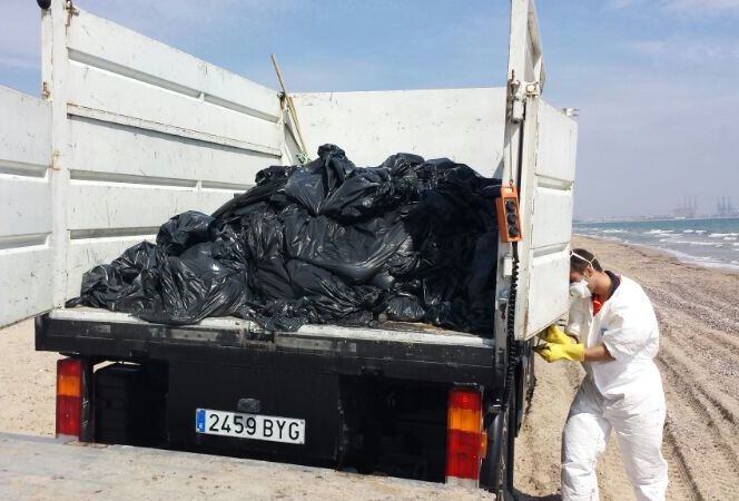 Los operarios han depositados en bolsas los restos de fuel que han llegado a la orilla