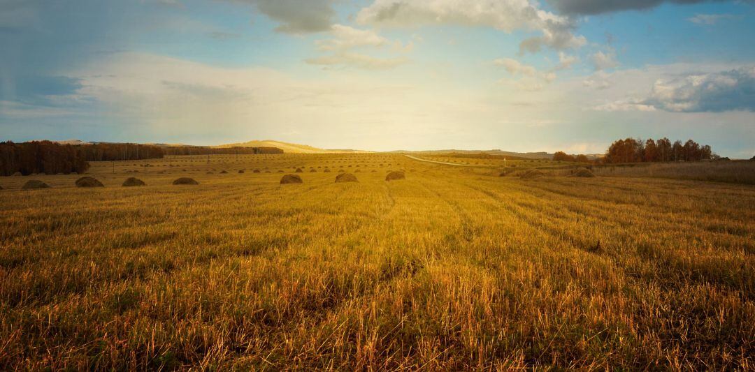 EHNE reconoce los estrechos márgenes del sector agrario pero dice que se puede pagar mejor