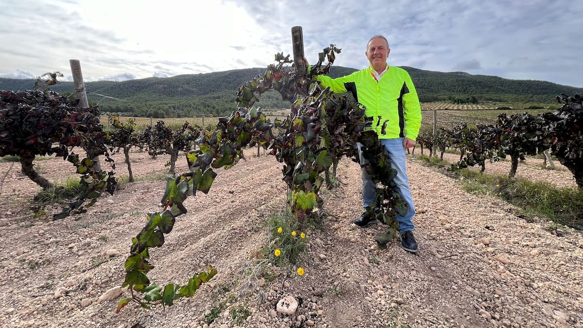 "Viñas y Relatos", con Rafa Poveda