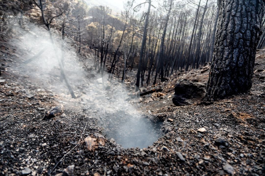 Archivo - Zonas quemadas por el incendio de Sierra Bermeja, en el área de Puerto de Peñas Blancas a 14 de septiembre 2021 en Estepona (Málaga) Andalucía
