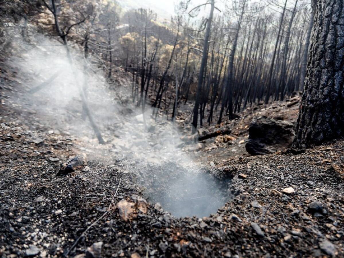"No se ha hecho nada. Que vengan a Genalguacil y expliquen dónde están las ayudas y las inversiones"