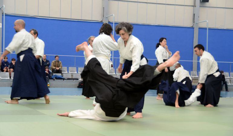 El XII Encuentro Nacional de Aikido reunirá a los mejores maestros de esta disciplina deportiva