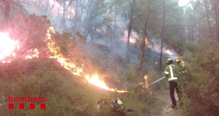 Els Bombers lluitant contra les flames als Pallaresos. 