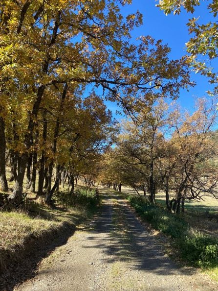 Orihuela del Tremedal (Teruel)