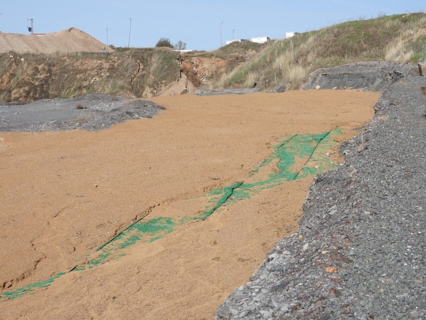 Ríplex tapado en el Monumento natural del Carbonífero de Puertollano