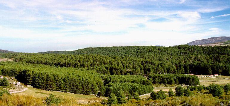 Los alrededores de Navarredonda. Un entorno privilegiado para practicar deporte