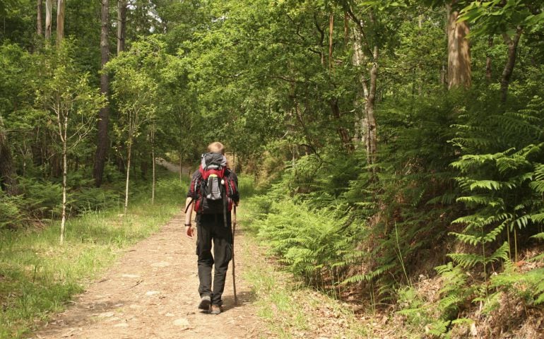 El Camino de Santiago siempre puede ser una opción de última hora